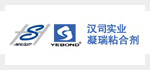 上海凝瑞粘合剂科技发展有限公司拓展培训活动