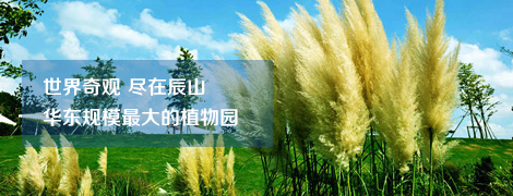 上海辰山植物园拓展培训基地