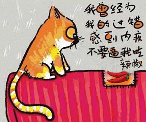 猫吃辣椒故事分享:企业新型营销策略