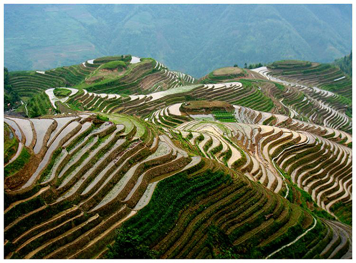 不得不去的几个研学胜地了解一下|拓展训练,众基