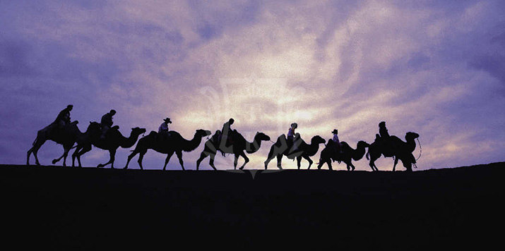 武清 人均gdp_武清站图片(3)